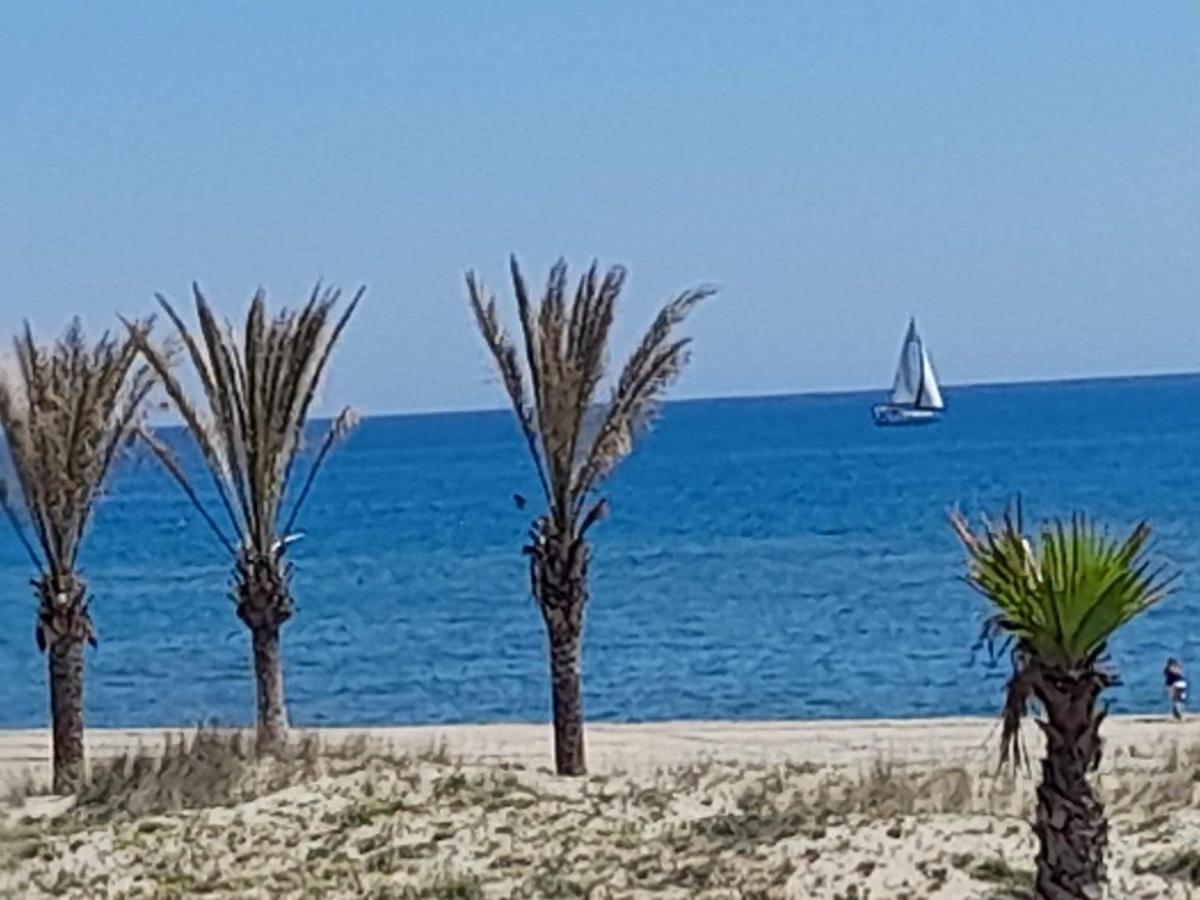 T3 Avec Magnifique Vue Mer Le Barcarès Eksteriør billede